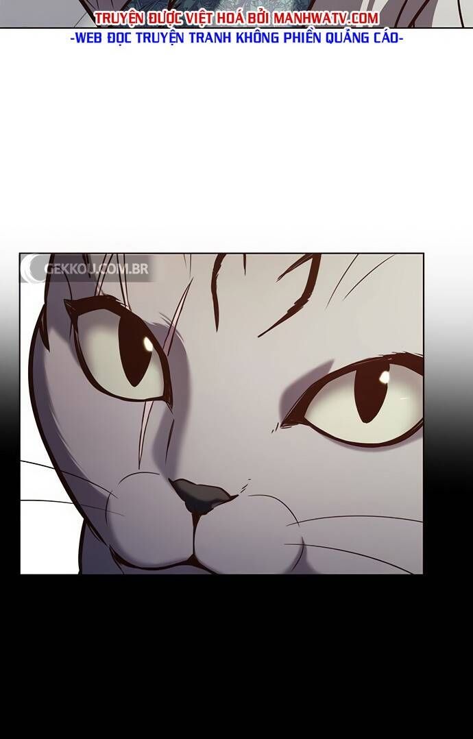 đọc truyện Hóa Thân Thành Mèo Chương 188 ảnh 85 tại Thiên Thai Truyện