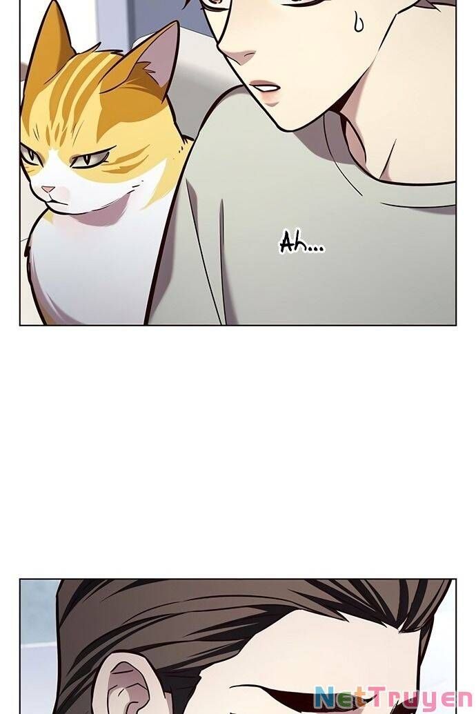 đọc truyện Hóa Thân Thành Mèo Chương 189 ảnh 46 tại Thiên Thai Truyện