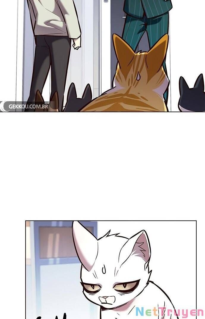 đọc truyện Hóa Thân Thành Mèo Chương 189 ảnh 56 tại Thiên Thai Truyện