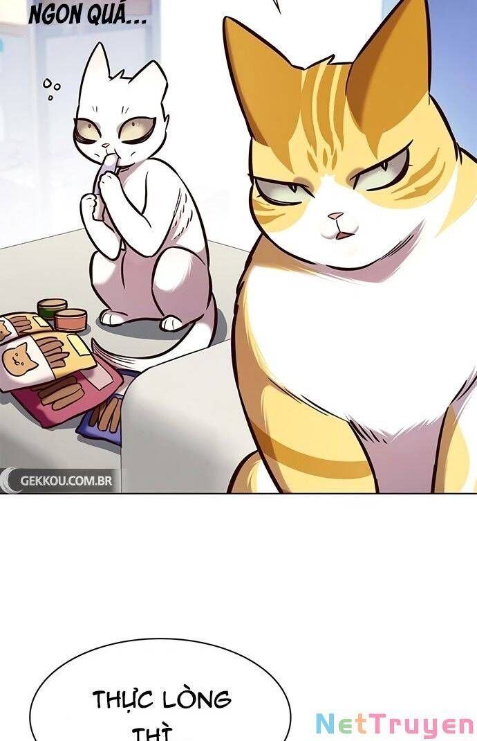 đọc truyện Hóa Thân Thành Mèo Chương 189 ảnh 58 tại Thiên Thai Truyện