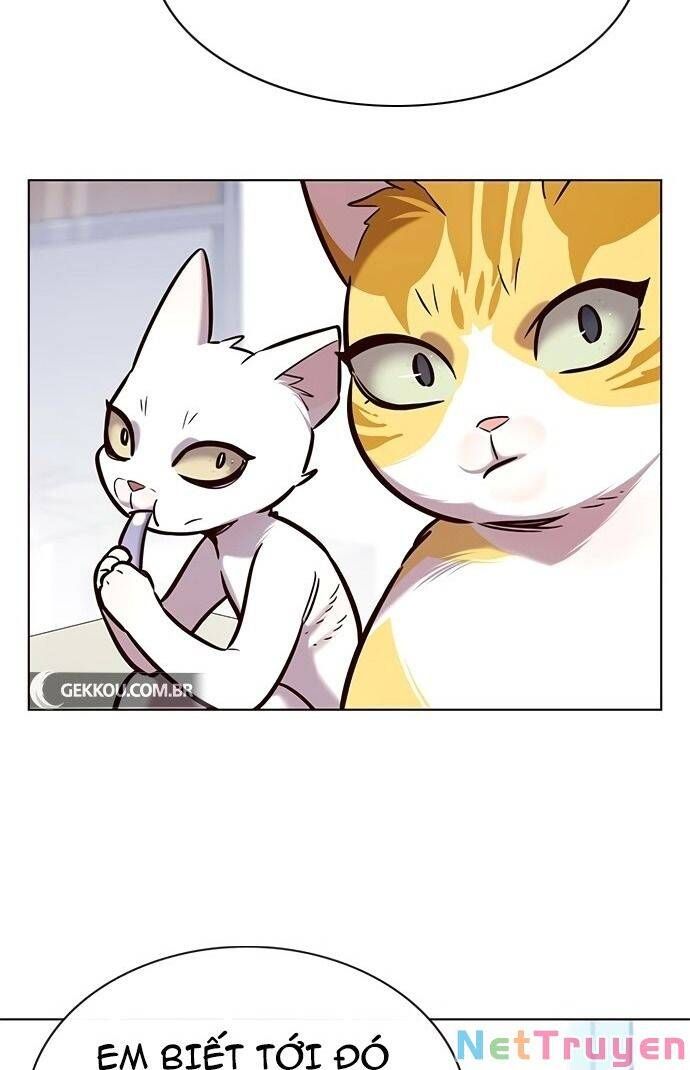 đọc truyện Hóa Thân Thành Mèo Chương 189 ảnh 60 tại Thiên Thai Truyện