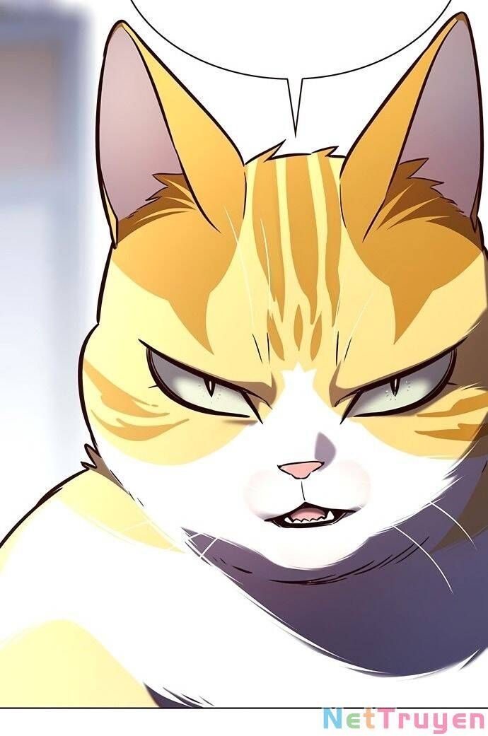 đọc truyện Hóa Thân Thành Mèo Chương 189 ảnh 70 tại Thiên Thai Truyện