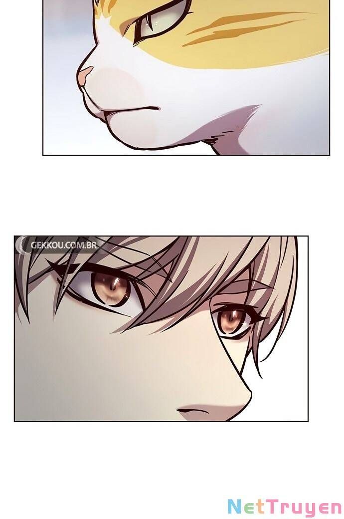 đọc truyện Hóa Thân Thành Mèo Chương 189 ảnh 74 tại Thiên Thai Truyện