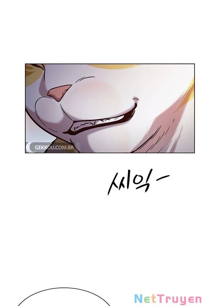 đọc truyện Hóa Thân Thành Mèo Chương 189 ảnh 75 tại Thiên Thai Truyện