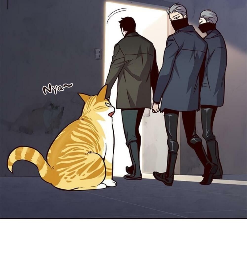 đọc truyện Hóa Thân Thành Mèo Chương 19 ảnh 102 tại Thiên Thai Truyện