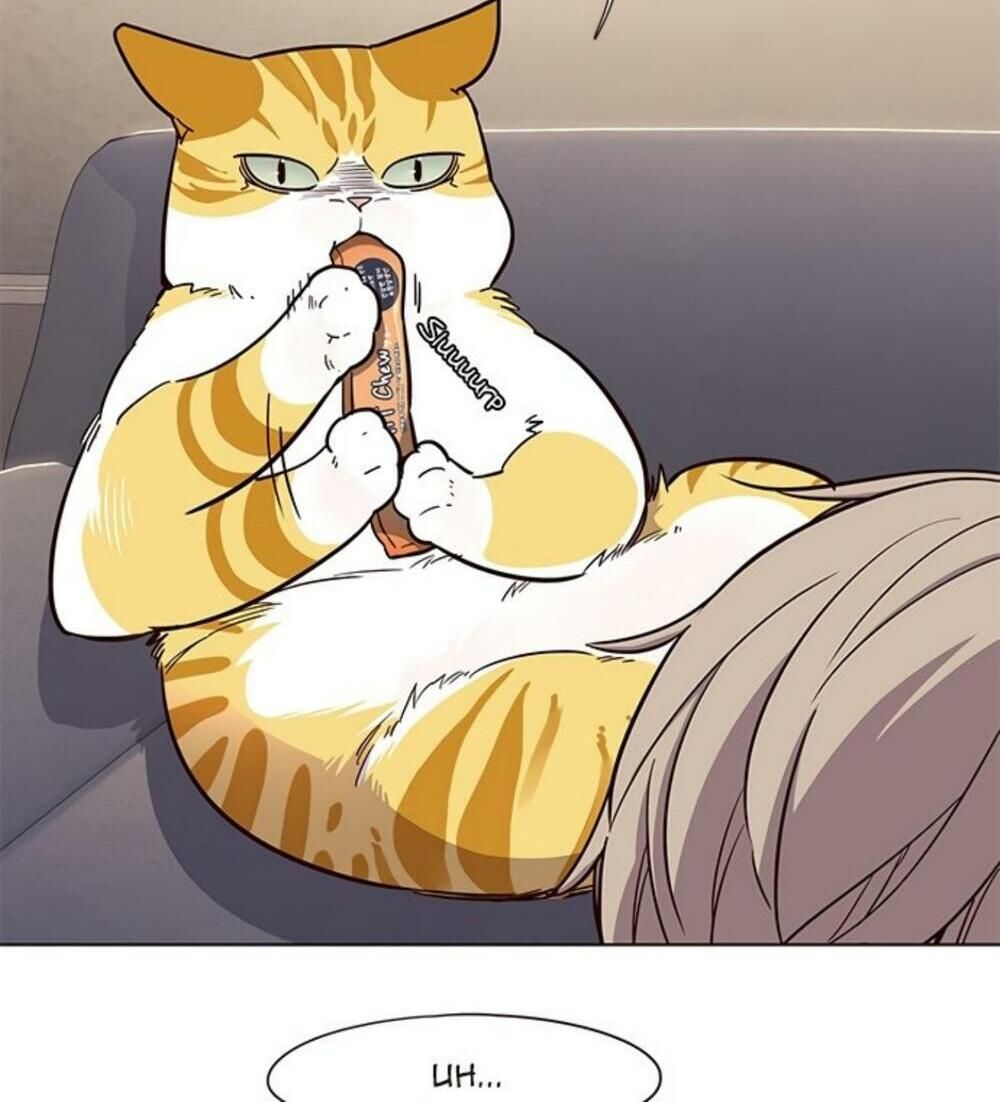 đọc truyện Hóa Thân Thành Mèo Chương 19 ảnh 33 tại Thiên Thai Truyện