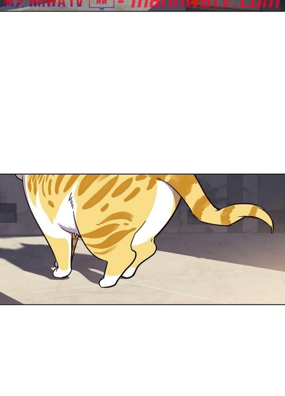 đọc truyện Hóa Thân Thành Mèo Chương 19 ảnh 82 tại Thiên Thai Truyện