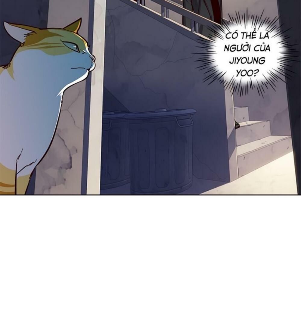 đọc truyện Hóa Thân Thành Mèo Chương 19 ảnh 89 tại Thiên Thai Truyện