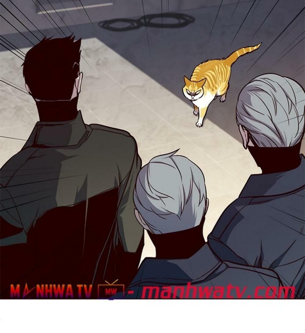 đọc truyện Hóa Thân Thành Mèo Chương 19 ảnh 94 tại Thiên Thai Truyện