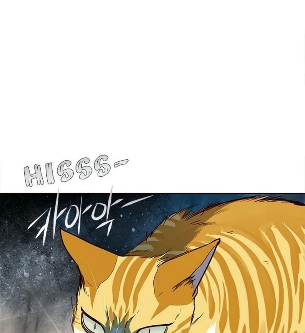 đọc truyện Hóa Thân Thành Mèo Chương 19 ảnh 95 tại Thiên Thai Truyện