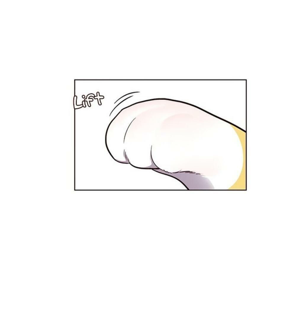 đọc truyện Hóa Thân Thành Mèo Chương 19 ảnh 99 tại Thiên Thai Truyện