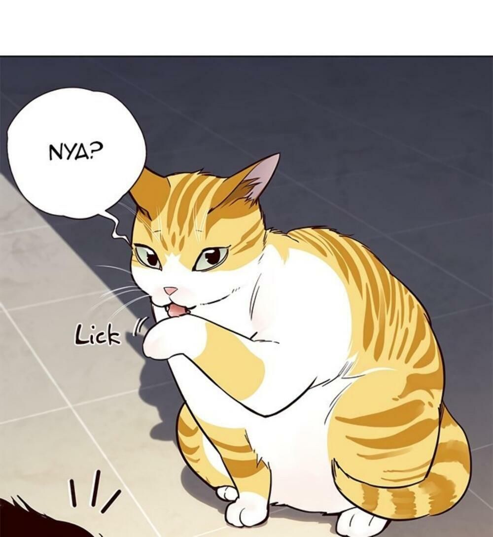 đọc truyện Hóa Thân Thành Mèo Chương 19 ảnh 100 tại Thiên Thai Truyện