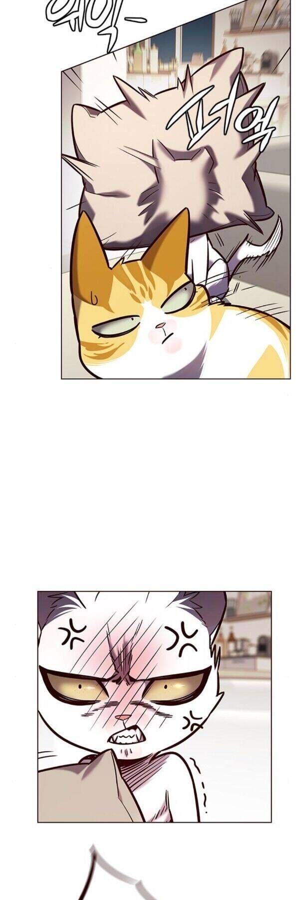 đọc truyện Hóa Thân Thành Mèo Chương 190 ảnh 4 tại Thiên Thai Truyện