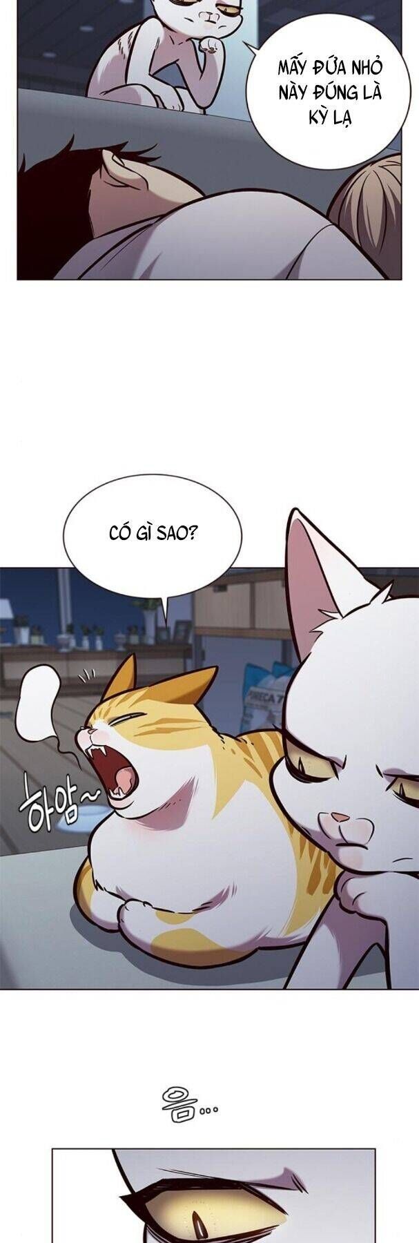 đọc truyện Hóa Thân Thành Mèo Chương 190 ảnh 22 tại Thiên Thai Truyện