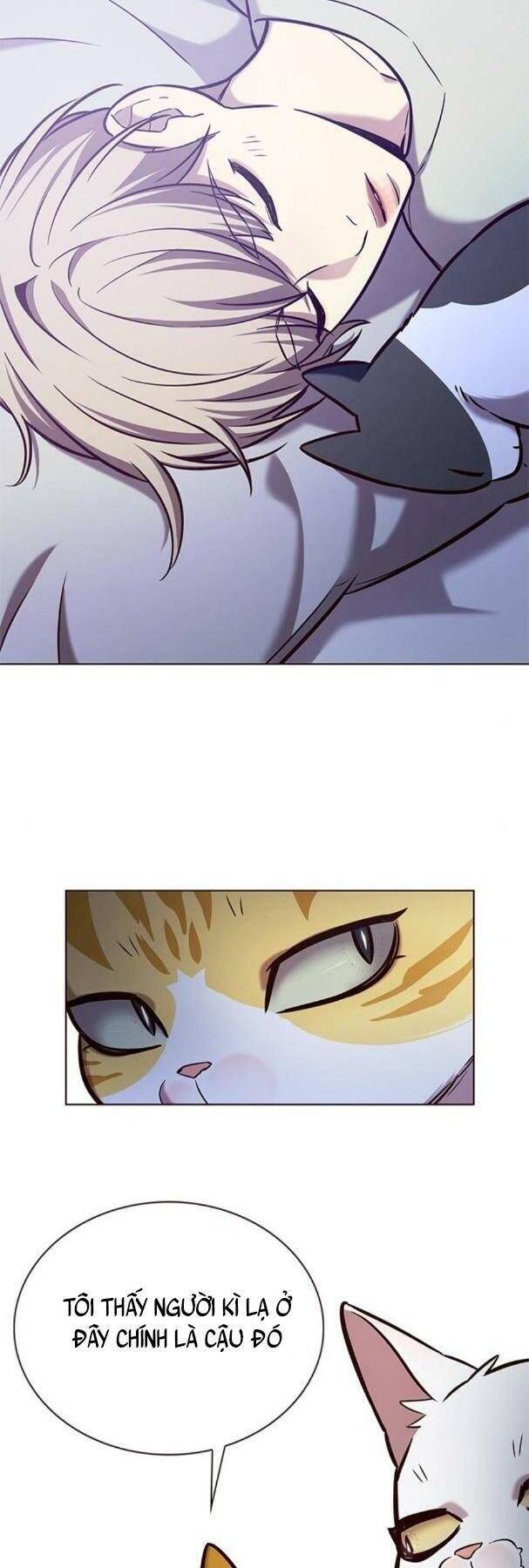 đọc truyện Hóa Thân Thành Mèo Chương 190 ảnh 28 tại Thiên Thai Truyện