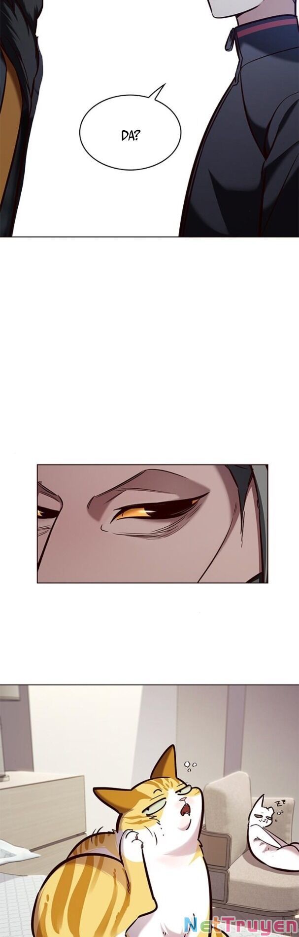 đọc truyện Hóa Thân Thành Mèo Chương 195 ảnh 51 tại Thiên Thai Truyện