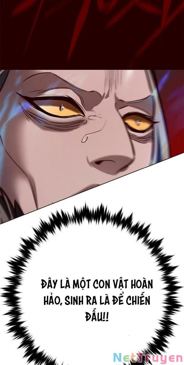 đọc truyện Hóa Thân Thành Mèo Chương 195 ảnh 58 tại Thiên Thai Truyện