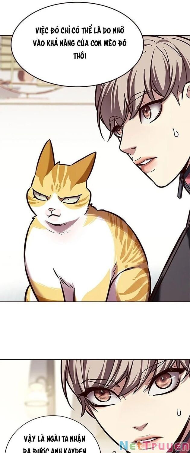 đọc truyện Hóa Thân Thành Mèo Chương 196 ảnh 12 tại Thiên Thai Truyện