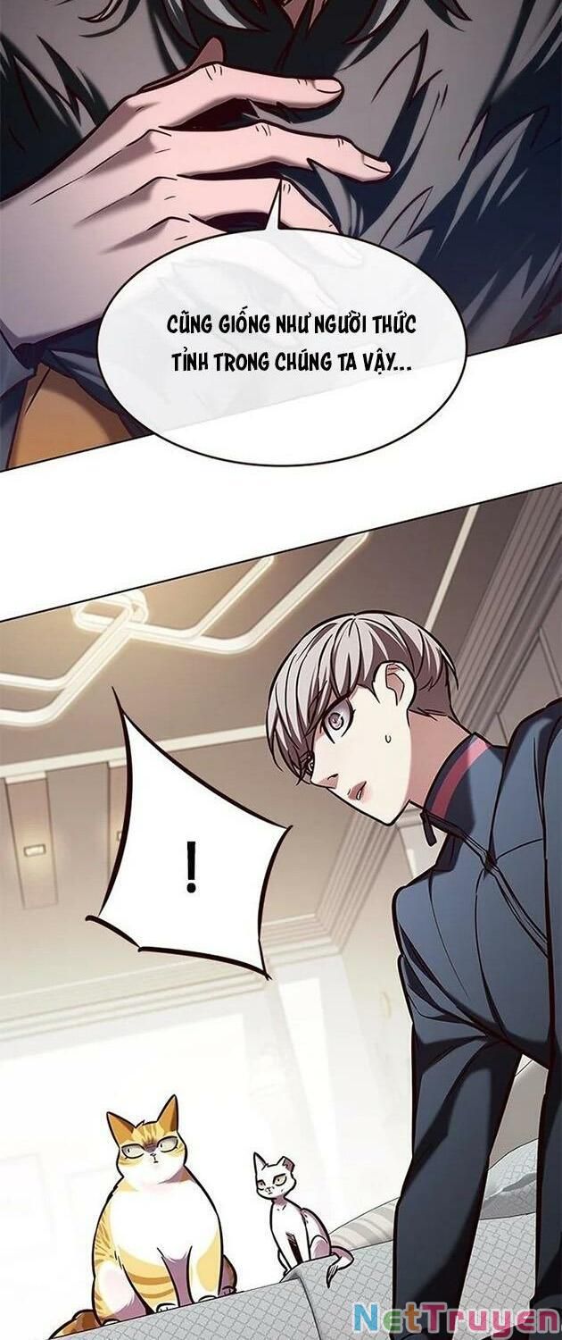 đọc truyện Hóa Thân Thành Mèo Chương 196 ảnh 14 tại Thiên Thai Truyện