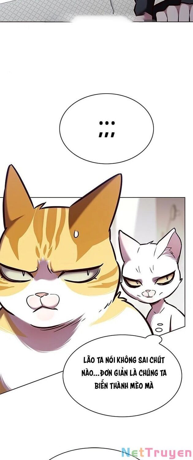 đọc truyện Hóa Thân Thành Mèo Chương 196 ảnh 15 tại Thiên Thai Truyện