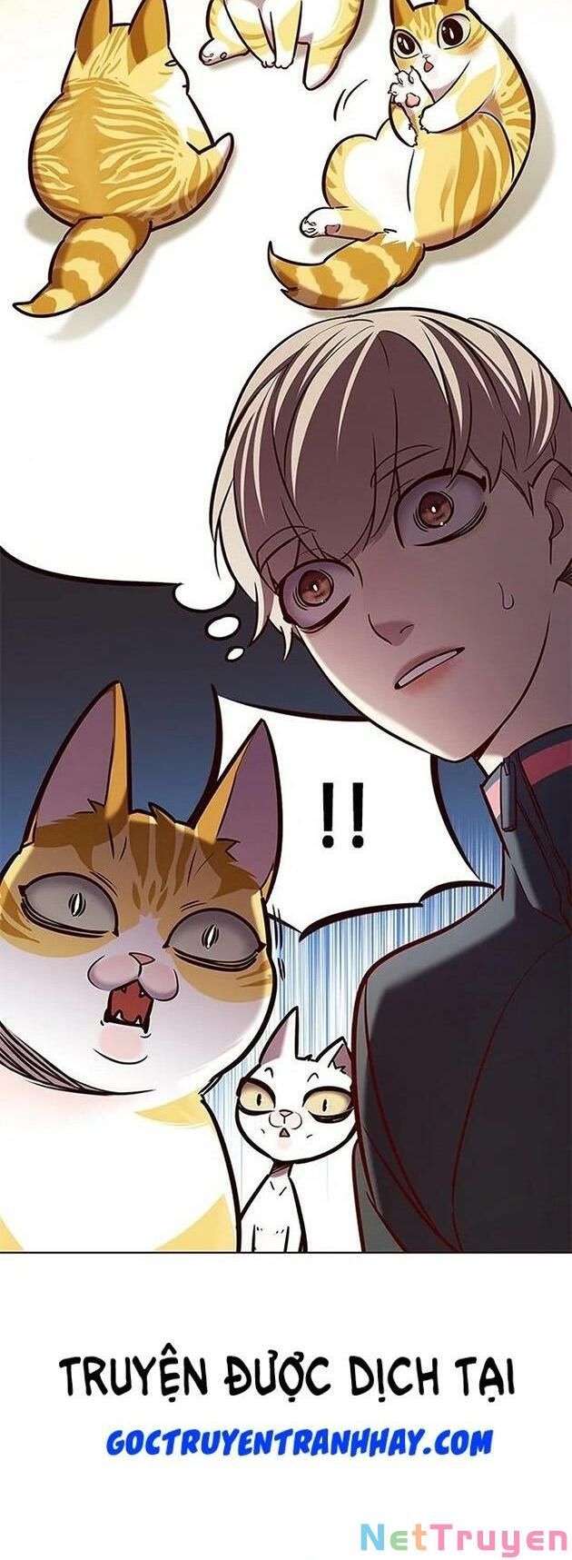 đọc truyện Hóa Thân Thành Mèo Chương 196 ảnh 34 tại Thiên Thai Truyện