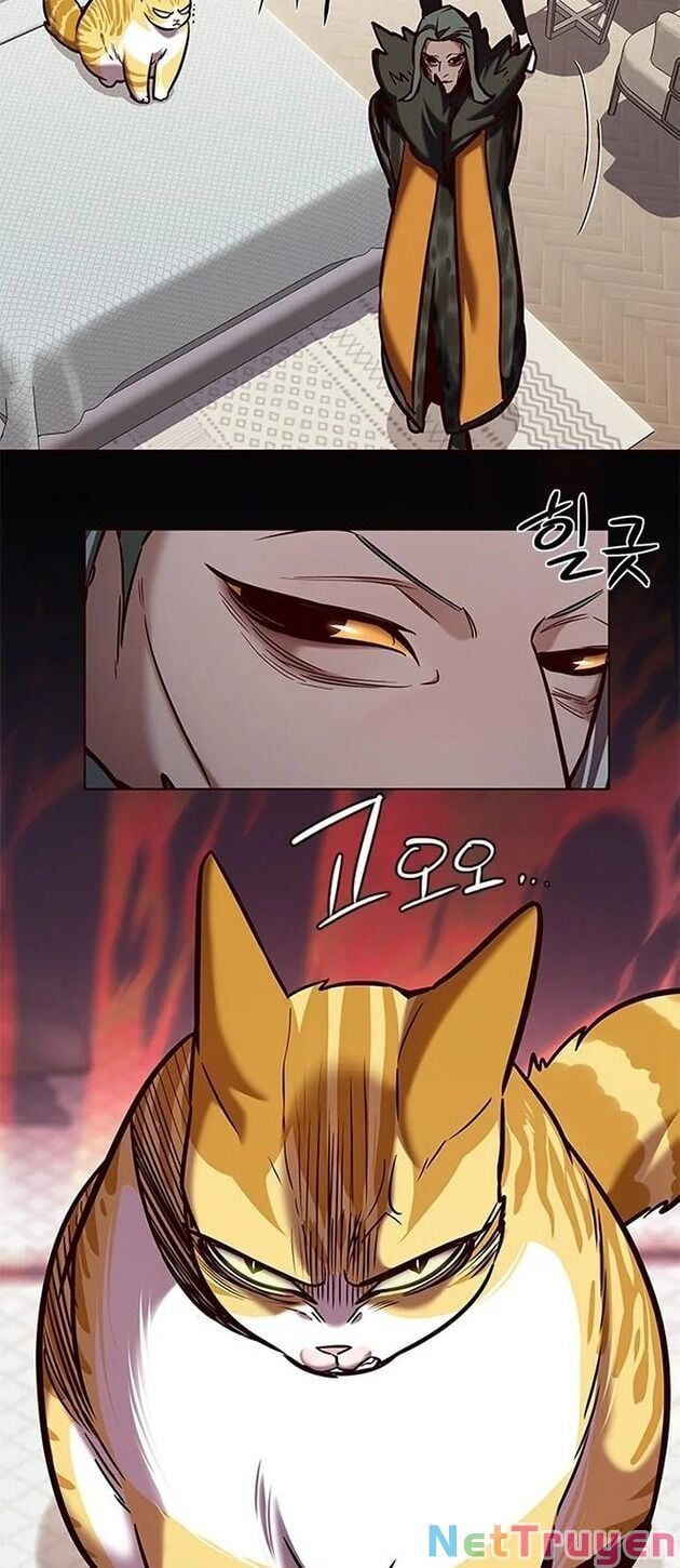 đọc truyện Hóa Thân Thành Mèo Chương 196 ảnh 37 tại Thiên Thai Truyện