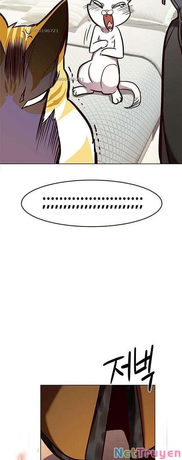 đọc truyện Hóa Thân Thành Mèo Chương 196 ảnh 41 tại Thiên Thai Truyện