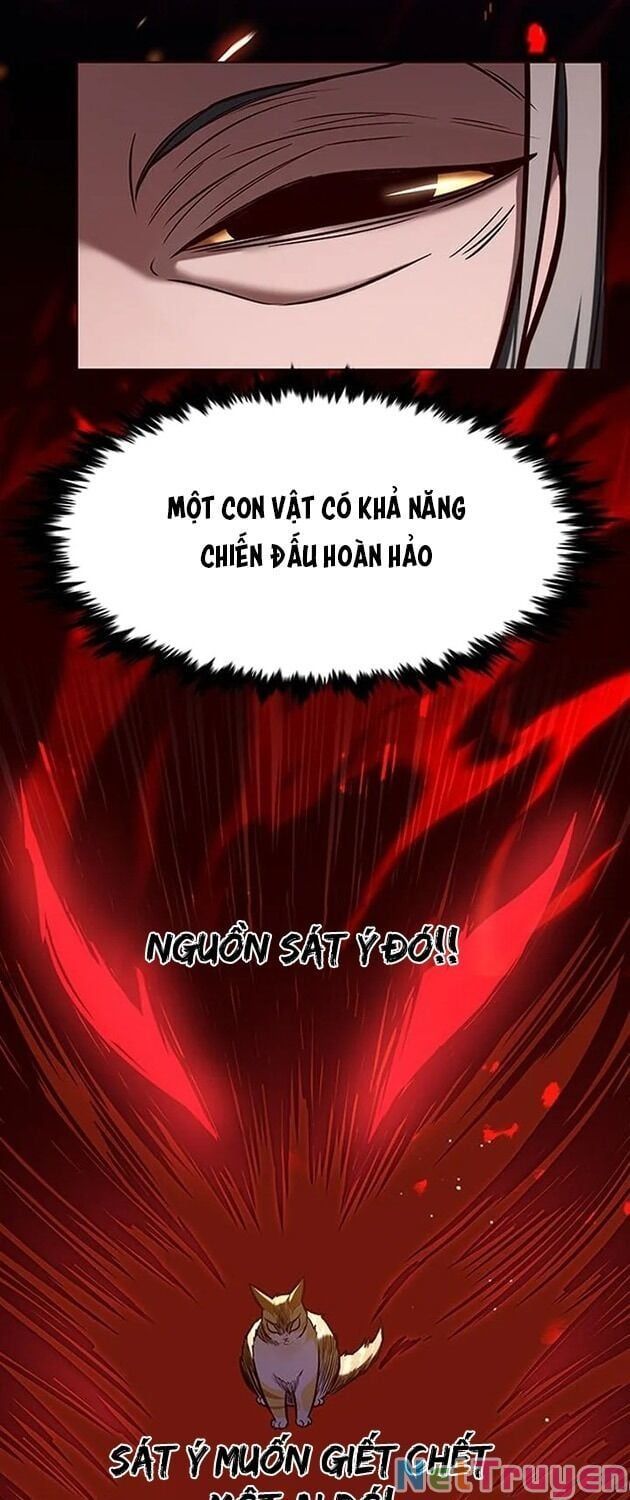 đọc truyện Hóa Thân Thành Mèo Chương 196 ảnh 43 tại Thiên Thai Truyện