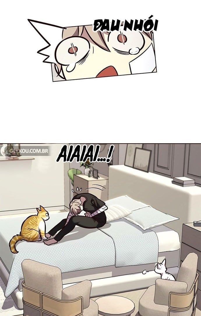 đọc truyện Hóa Thân Thành Mèo Chương 199 ảnh 66 tại Thiên Thai Truyện