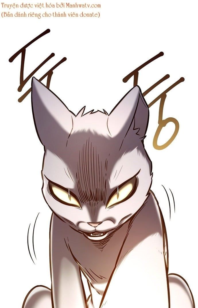 đọc truyện Hóa Thân Thành Mèo Chương 199 ảnh 75 tại Thiên Thai Truyện