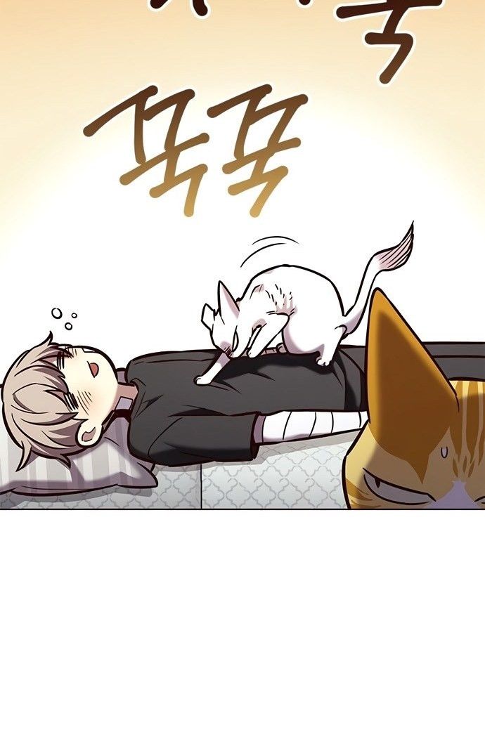 đọc truyện Hóa Thân Thành Mèo Chương 199 ảnh 78 tại Thiên Thai Truyện