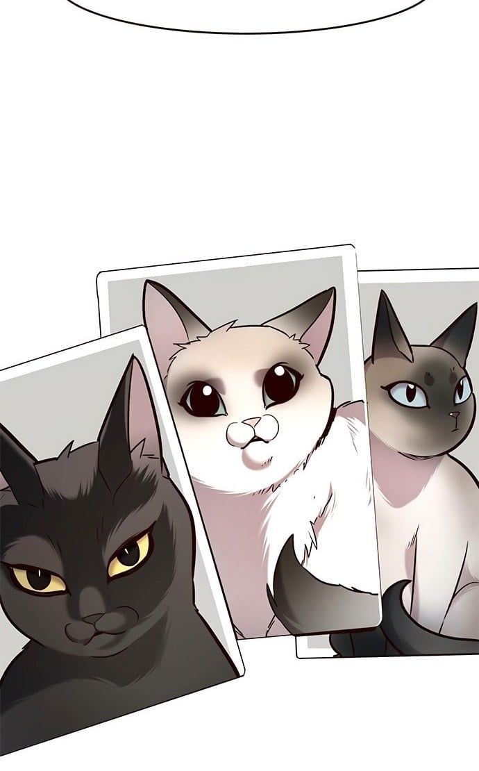 đọc truyện Hóa Thân Thành Mèo Chương 199 ảnh 94 tại Thiên Thai Truyện