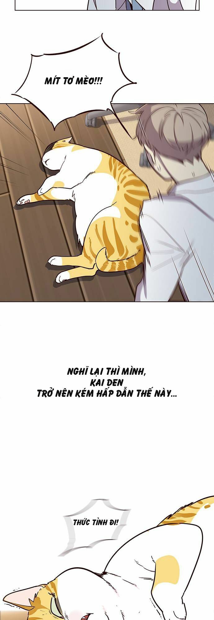 đọc truyện Hóa Thân Thành Mèo Chương 2 ảnh 4 tại Thiên Thai Truyện