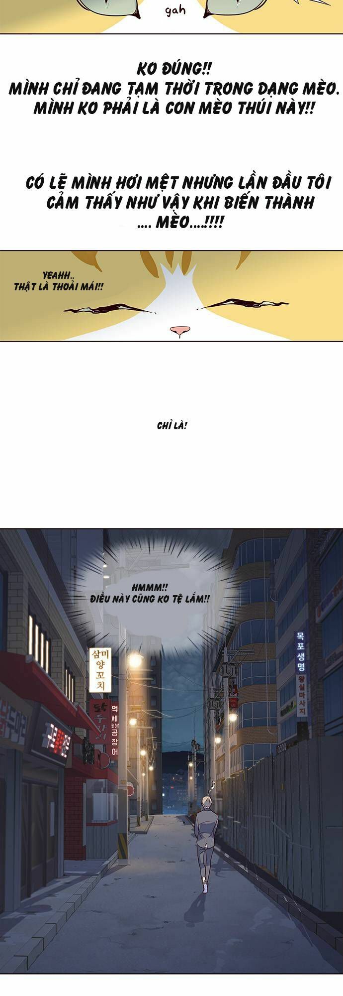 đọc truyện Hóa Thân Thành Mèo Chương 2 ảnh 22 tại Thiên Thai Truyện