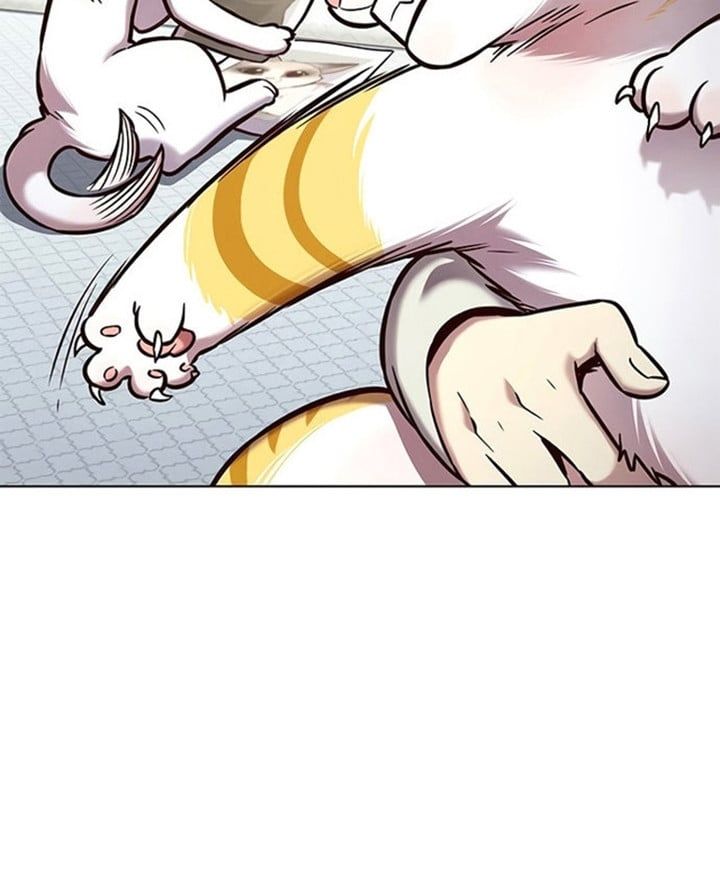 đọc truyện Hóa Thân Thành Mèo Chương 200 ảnh 26 tại Thiên Thai Truyện