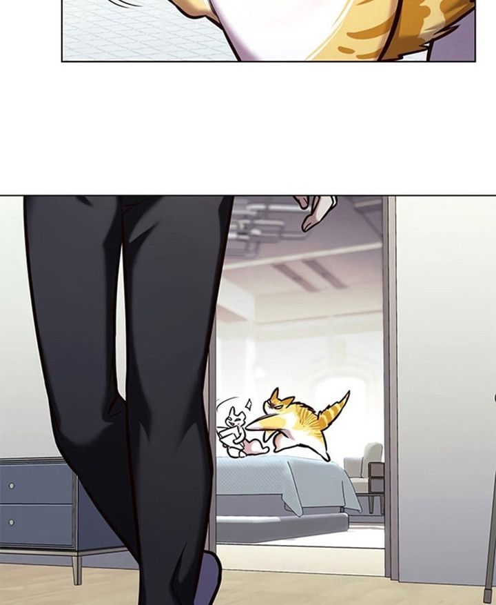 đọc truyện Hóa Thân Thành Mèo Chương 200 ảnh 28 tại Thiên Thai Truyện