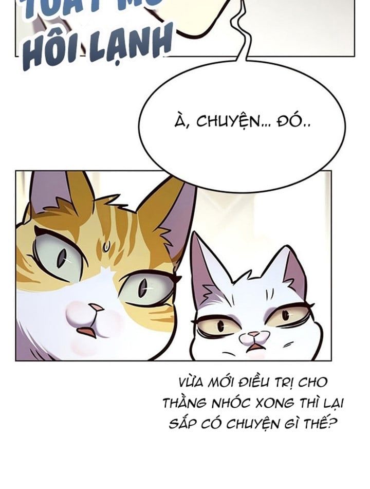 đọc truyện Hóa Thân Thành Mèo Chương 200 ảnh 64 tại Thiên Thai Truyện