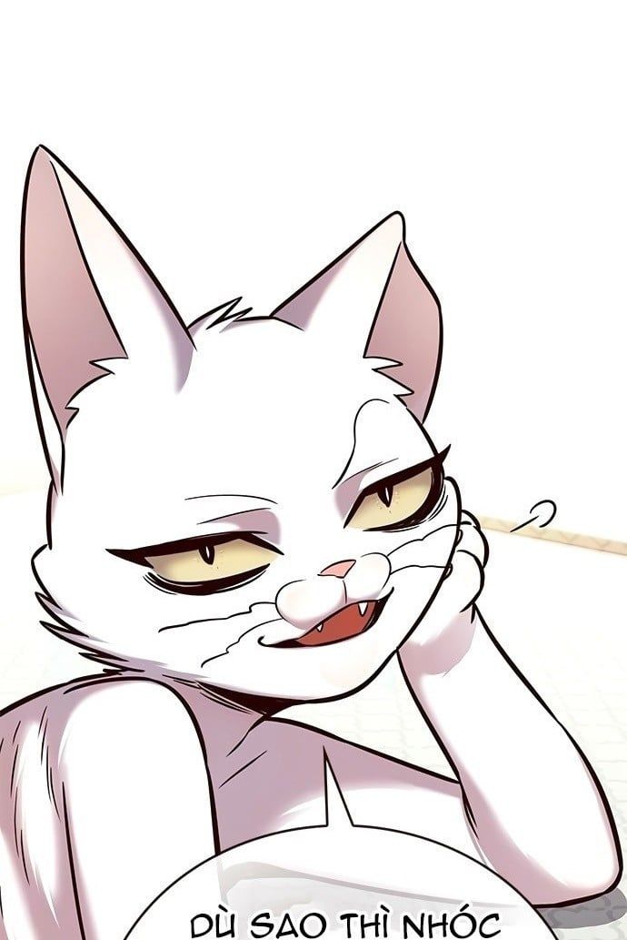 đọc truyện Hóa Thân Thành Mèo Chương 201 ảnh 14 tại Thiên Thai Truyện