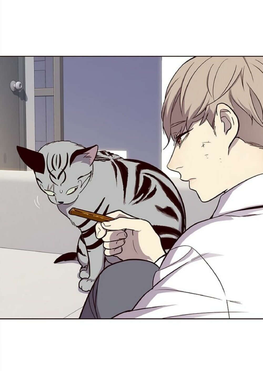 đọc truyện Hóa Thân Thành Mèo Chương 21 ảnh 27 tại Thiên Thai Truyện