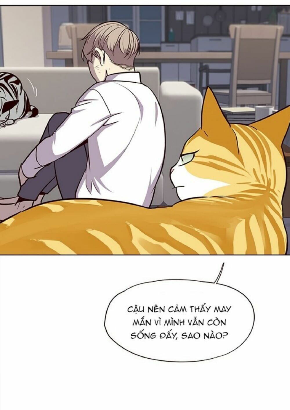 đọc truyện Hóa Thân Thành Mèo Chương 21 ảnh 37 tại Thiên Thai Truyện