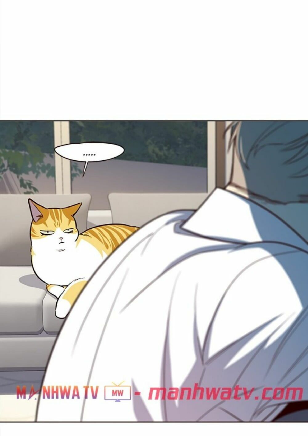 đọc truyện Hóa Thân Thành Mèo Chương 21 ảnh 41 tại Thiên Thai Truyện