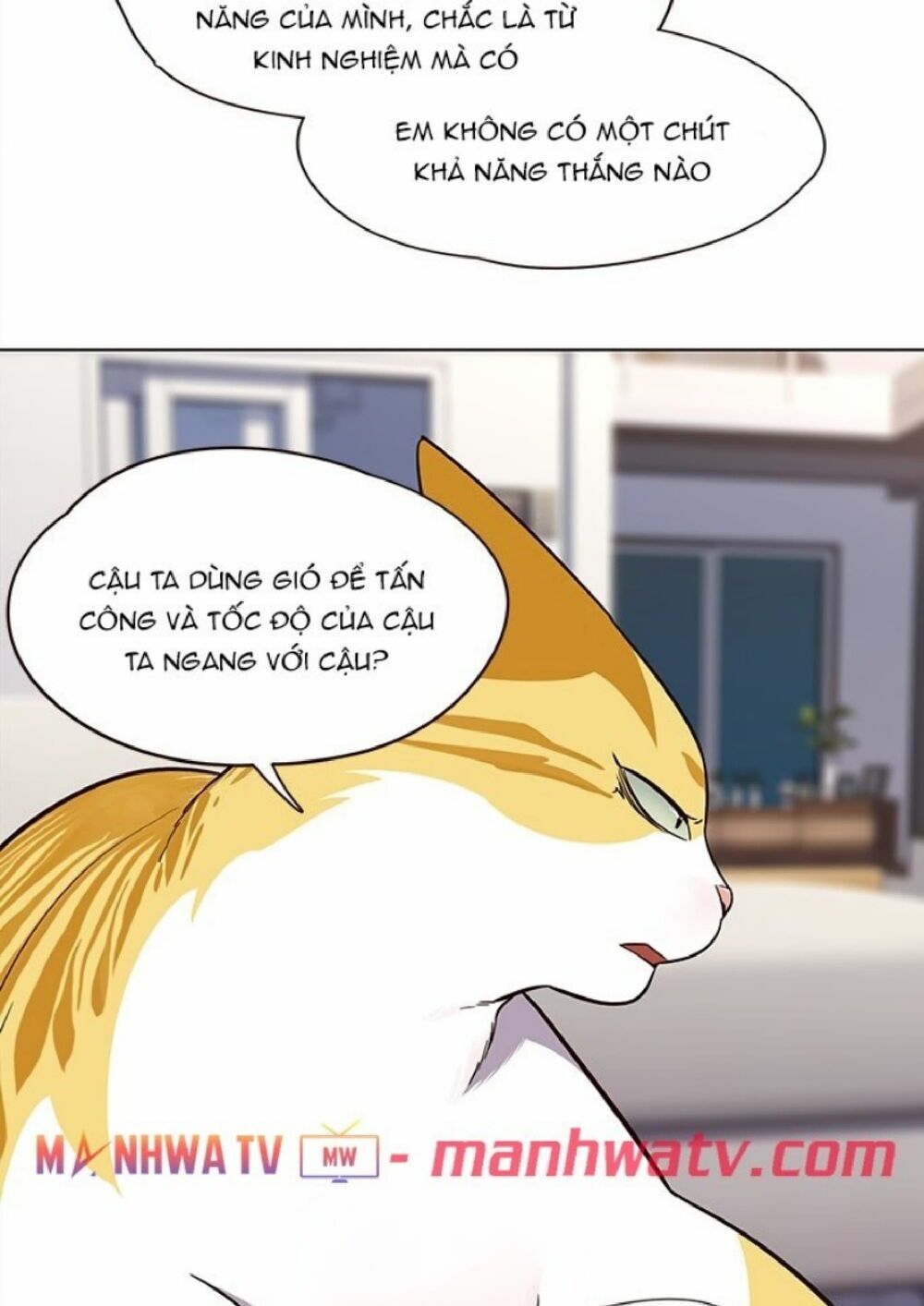 đọc truyện Hóa Thân Thành Mèo Chương 21 ảnh 44 tại Thiên Thai Truyện