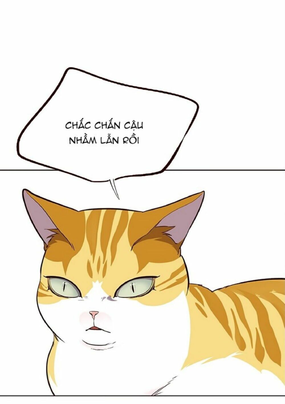 đọc truyện Hóa Thân Thành Mèo Chương 21 ảnh 45 tại Thiên Thai Truyện