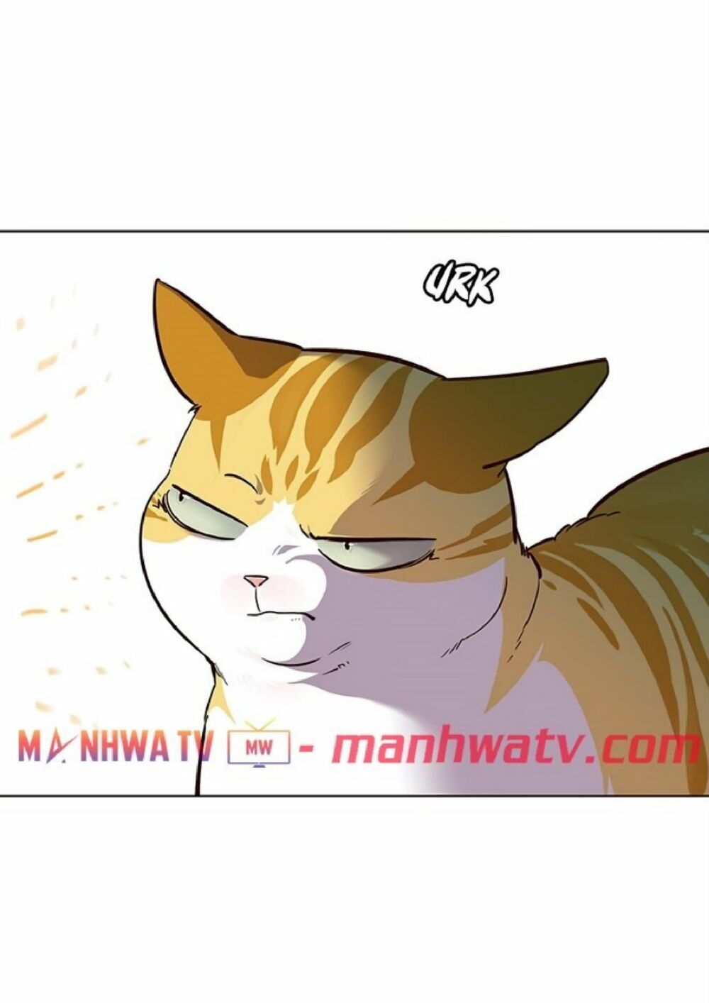 đọc truyện Hóa Thân Thành Mèo Chương 21 ảnh 58 tại Thiên Thai Truyện