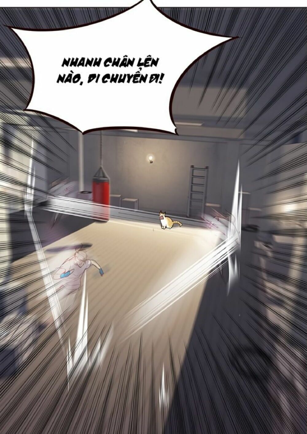 đọc truyện Hóa Thân Thành Mèo Chương 21 ảnh 64 tại Thiên Thai Truyện