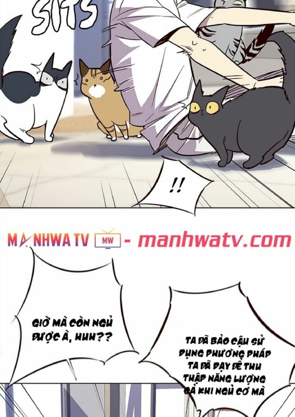 đọc truyện Hóa Thân Thành Mèo Chương 21 ảnh 70 tại Thiên Thai Truyện