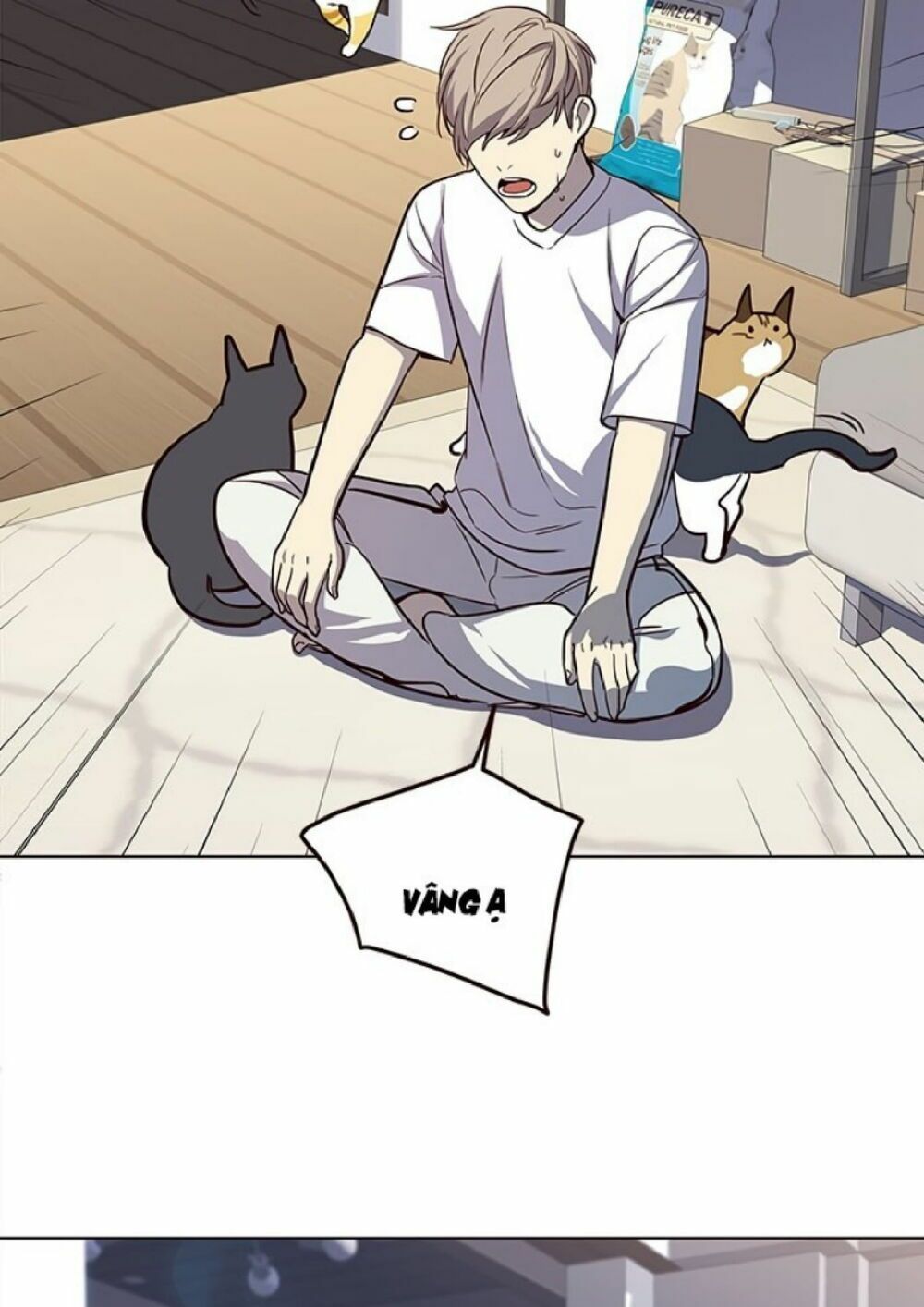 đọc truyện Hóa Thân Thành Mèo Chương 21 ảnh 71 tại Thiên Thai Truyện