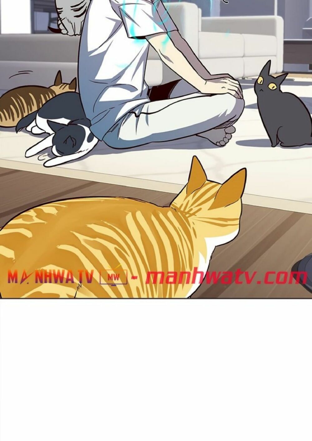 đọc truyện Hóa Thân Thành Mèo Chương 21 ảnh 72 tại Thiên Thai Truyện