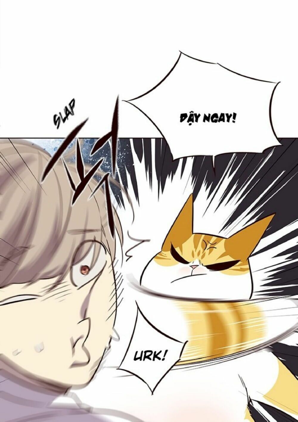 đọc truyện Hóa Thân Thành Mèo Chương 21 ảnh 75 tại Thiên Thai Truyện