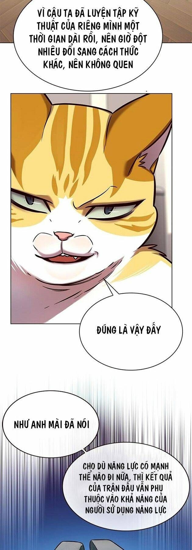 đọc truyện Hóa Thân Thành Mèo Chương 218 ảnh 49 tại Thiên Thai Truyện